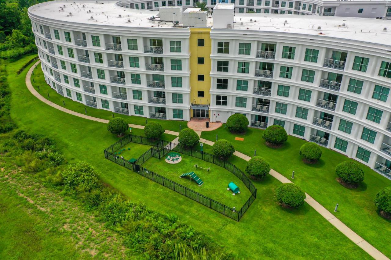 Pet Friendly In Orlando Area Near Disney Celebration Exterior photo